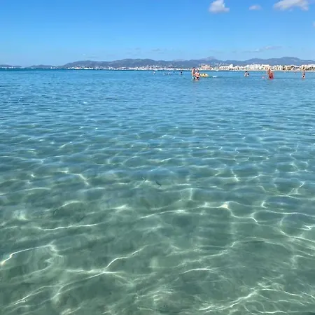 Admiral Plaza, & Apartment Sunny Beach